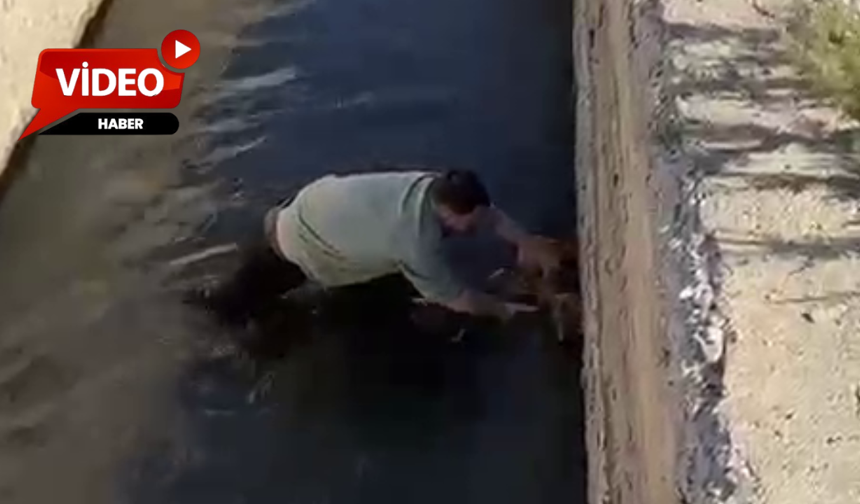 Erzincan'da bir canın kurtuluş anı..