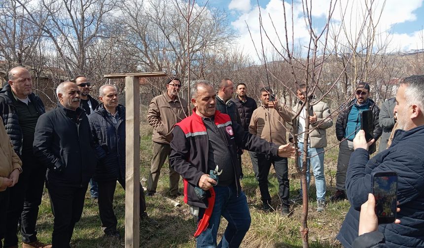 Erzincan'da çiftçiye sahada budama eğitimleri başladı