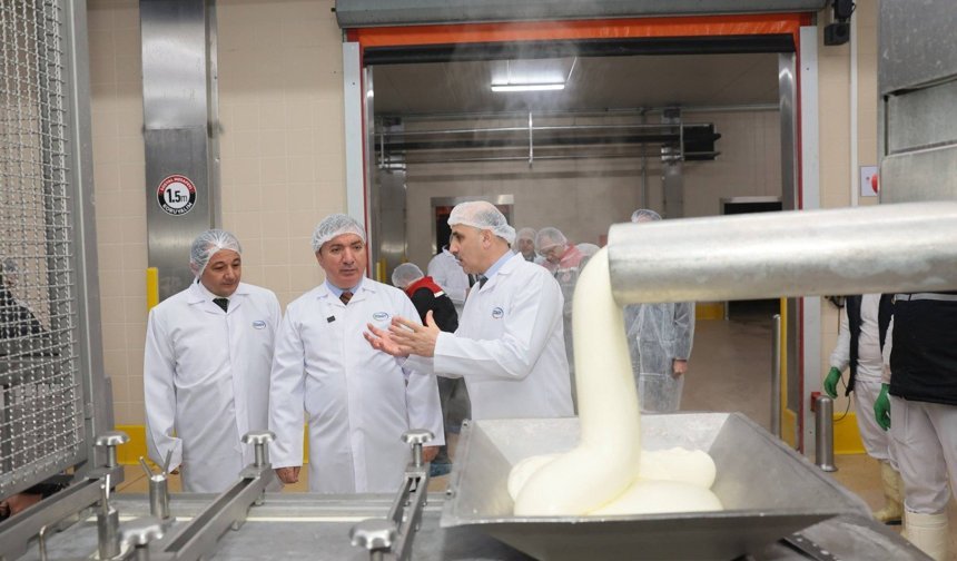 Erzincan’ın Sütü Değere Dönüşüyor: Bu Tesisler Bölgenin Can Damarı Oldu