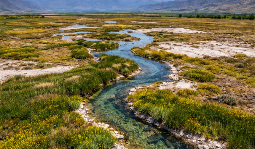 Bilim İnsanlarını Şaşırtan Alan: Erzincan’da Eşsiz Ekosistem