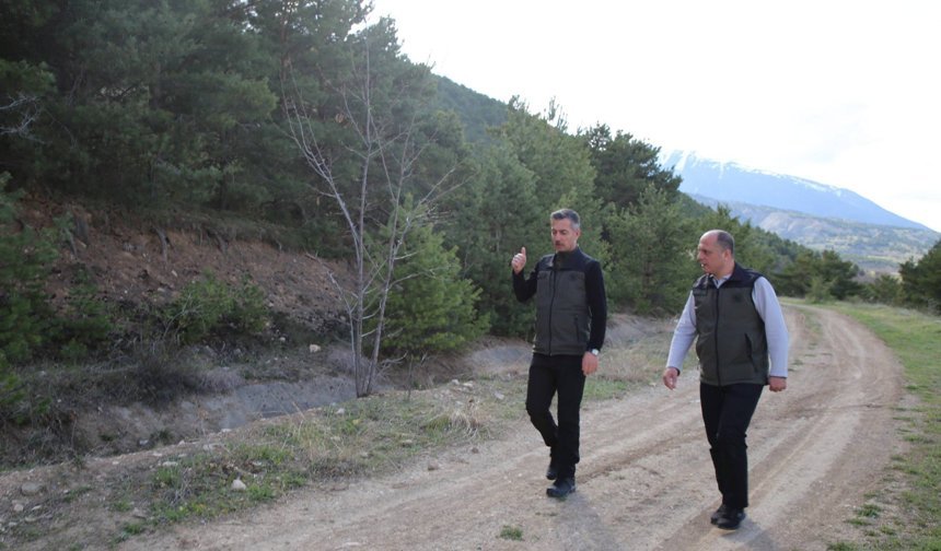 Yeni Orman Parkı Geliyor: Erzincan’a Nefes Aldıracak Yatırım