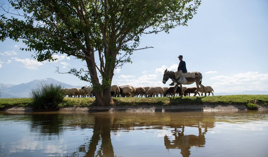 Erzincan’da Bahar Patladı: Doğa Adeta Yeniden Doğuyor