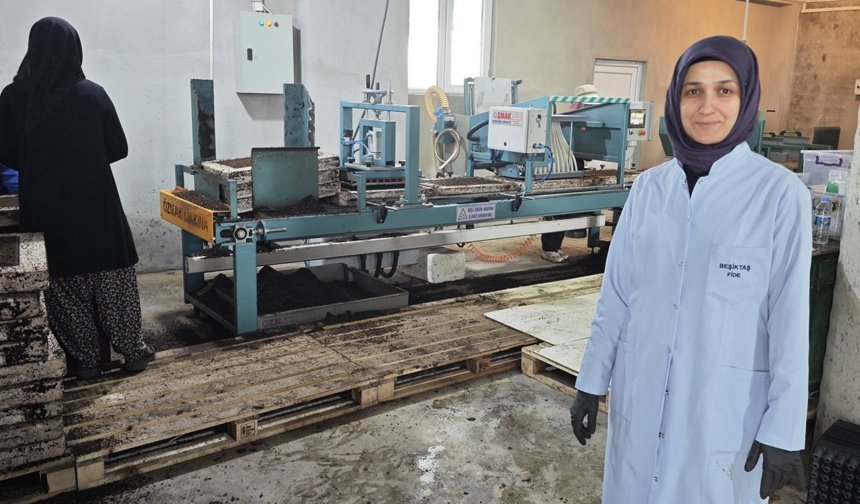 Erzincan’da Son Teknolojik Makineyle Fide Üretimi yapılıyor