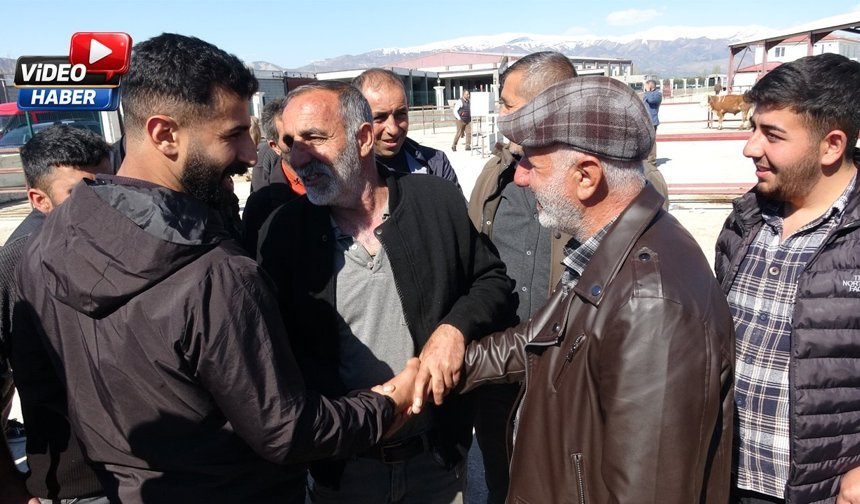 İşte Erzincan’da Kurbanlıkların Son Durumu…