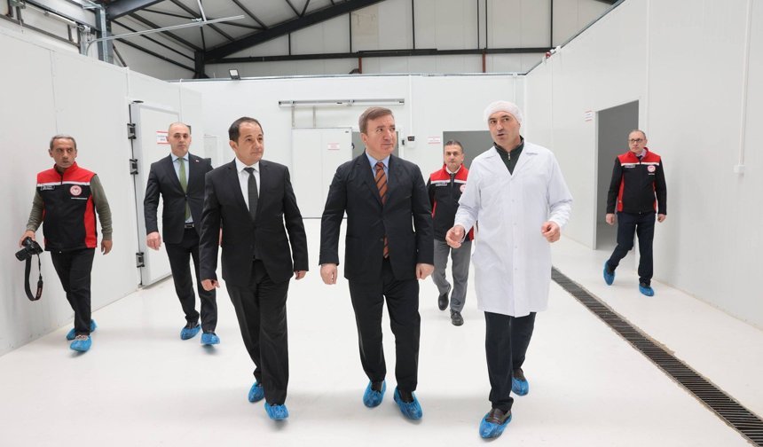 Erzincan OSB’de Et Ürünleri Üretimi Güçleniyor