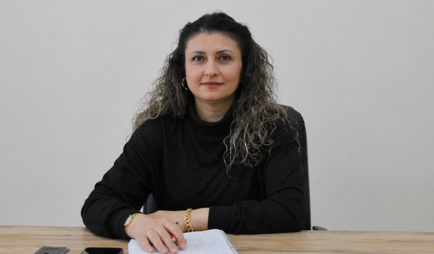 4.1'lik Deprem Yedisu Segmentini Tetikler mi? Deprem Enstitüsü'nden Kritik Analiz..