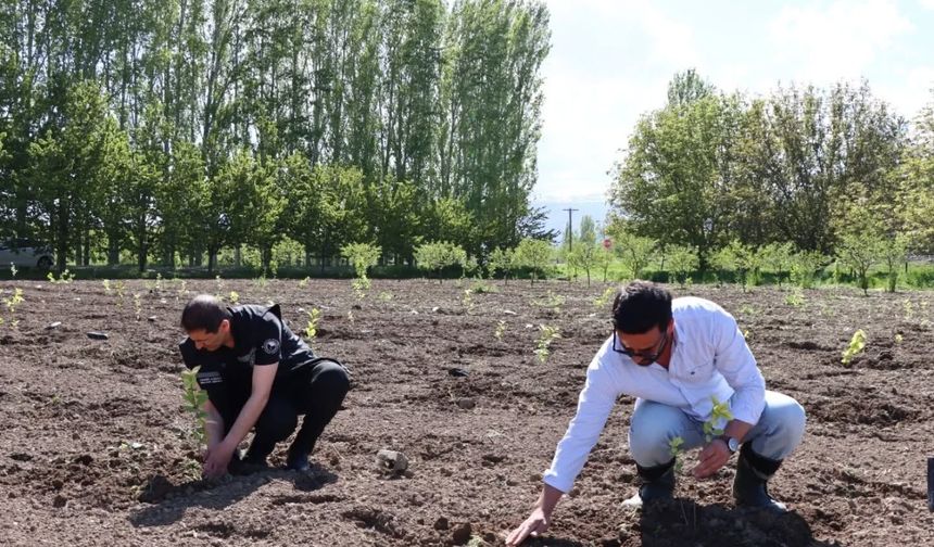 Erzincan’da Koleksiyon Bahçesi Kuruldu