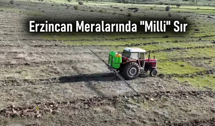 Erzincan Meralarında "Milli" Sır: Kimse Ne Olduğunu Anlayamadı Ama Sonuç Ezber Bozacak!