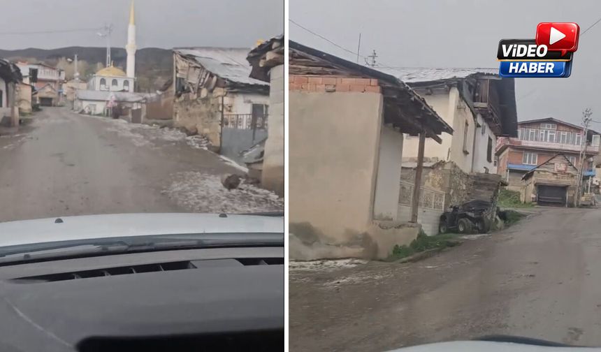 Erzincan’da Dolu Yağışı Kırsalı Beyaza Bürüdü