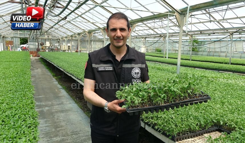 Erzincan’da Fide Satışları Başlıyor: Tarih Belli Oldu, Fiyatlar Açıklandı