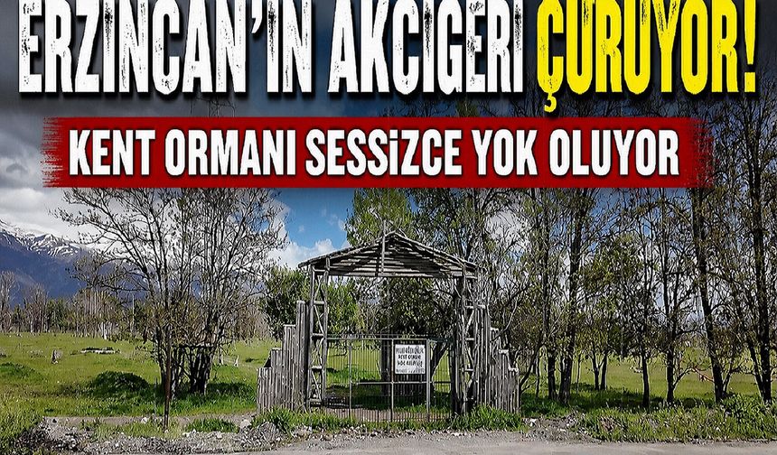 Erzincan’ın Akciğeri Çürüyor! Kent Ormanı Sessizce Yok Oluyor