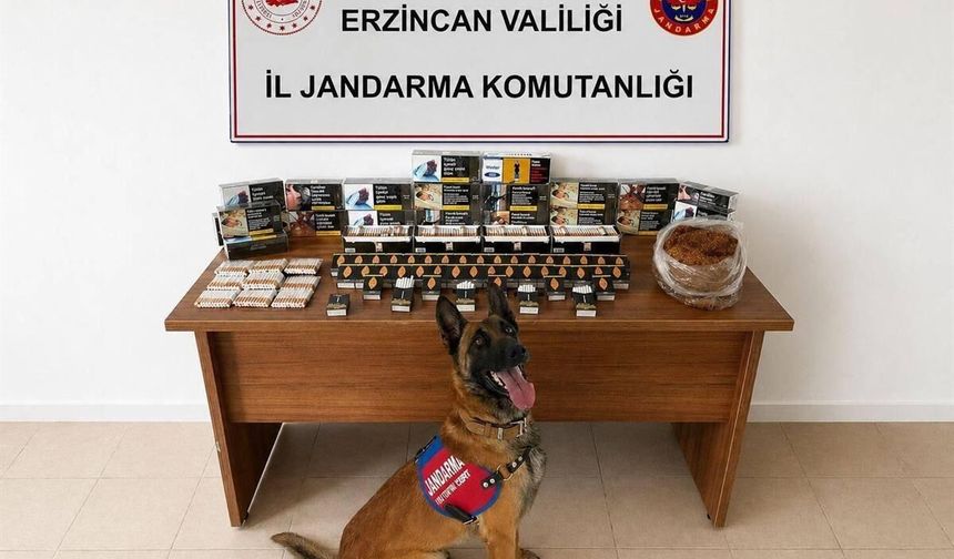 Erzincan'da DEAŞ, Narkotik ve Kaçakçılığa Darbe