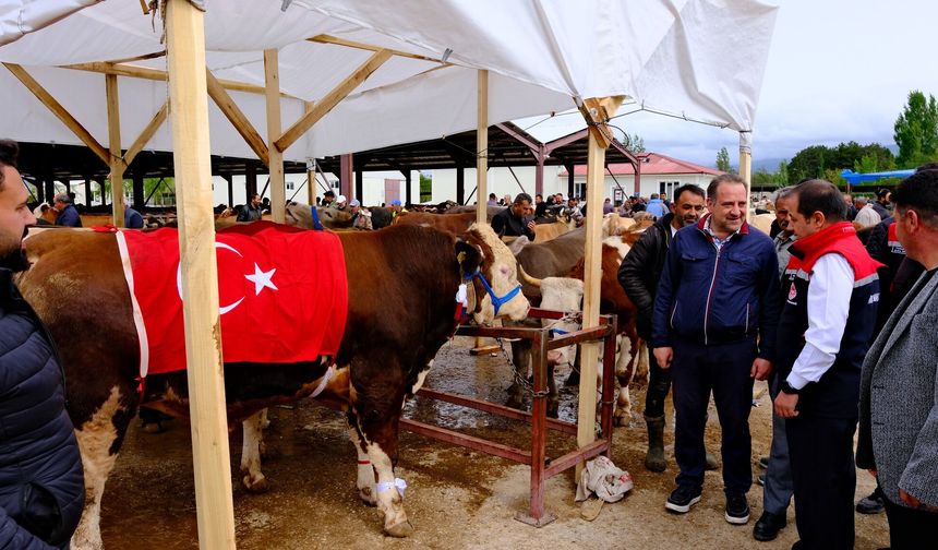 Erzincan Hayvan Pazarı’nda Tarım Ekipleri Devrede...