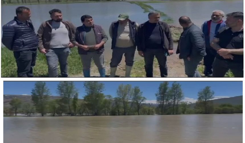 Erzincan'da Karasu Taştı, Çiftçinin Emeği Sular Altında Kaldı