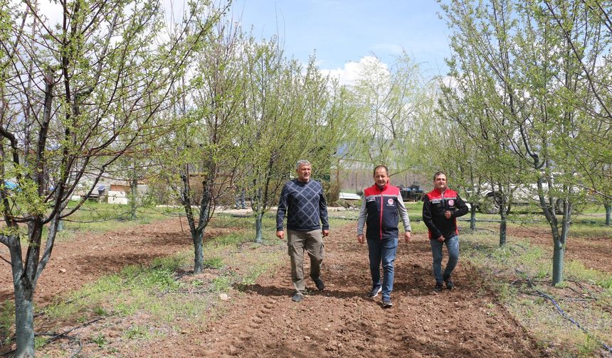 Yılmaz Toyran Bu Kez Sahada Değil, Bahçede Kazandırıyor