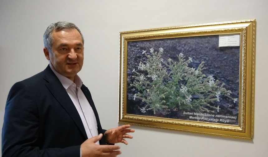 EBYÜ Prof.Dr.Kandemir :”Erzincanlı Bitkiler Turizme Kazandırılabilir”