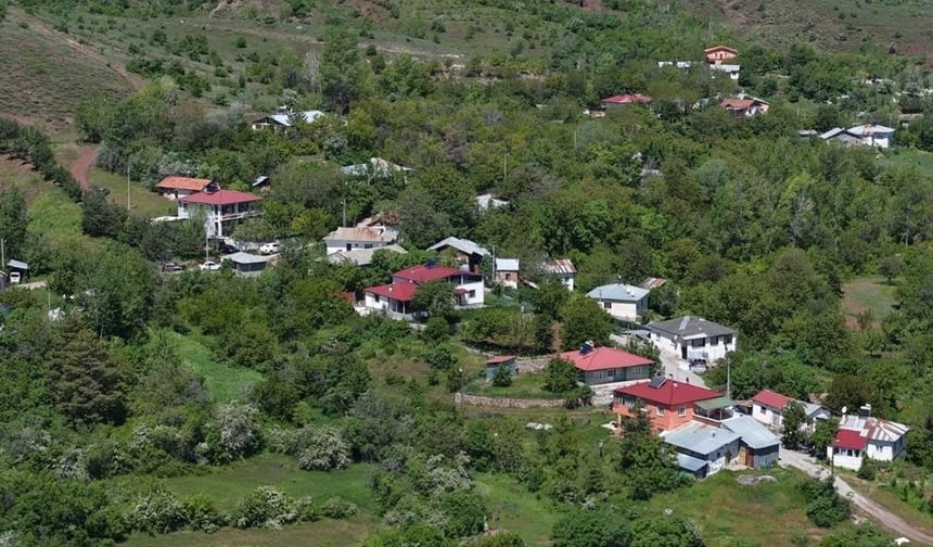 Şehir Hayatından Kaçış Arayanlara Müjde: Erzincan’da Doğa ile İç İçe "Fırsat" Bahçesi Sizleri Bekliyor!