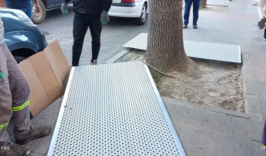 Erzincan'da Ağaçlara 'Demir' Güvence
