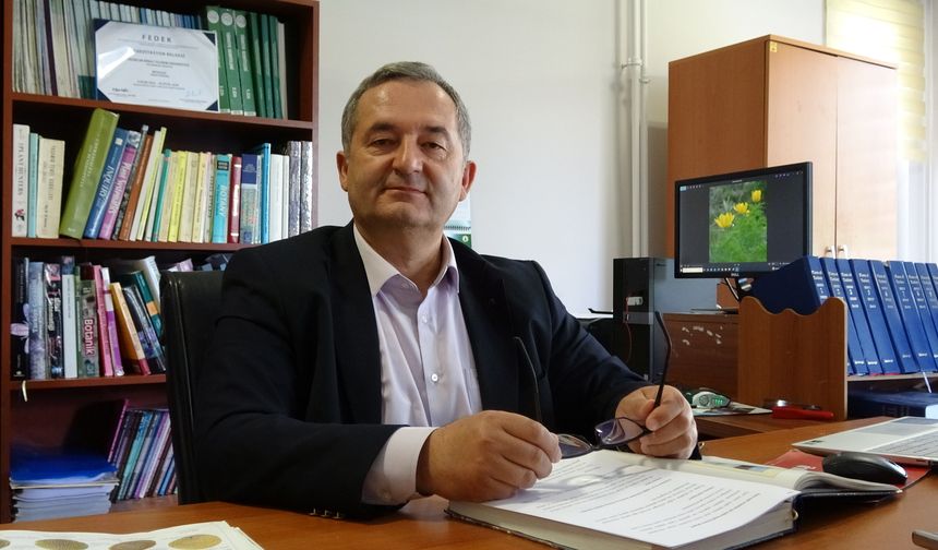 Erzincan’da Polen Yoğunluğu İlkbaharda Zirve Yapıyor, Yazın Otsu Bitkiler Etkili Oluyor