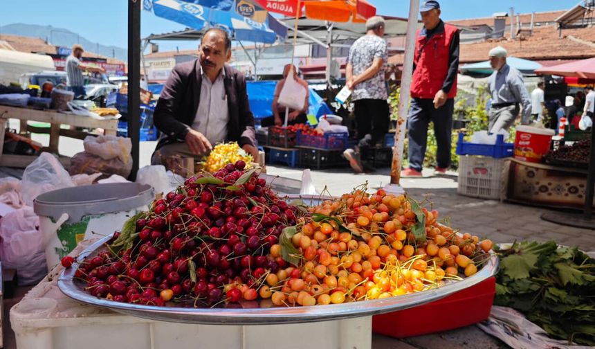 Erzincan'ın Yerli Kirazı Çıktı. İşte Fiyatı