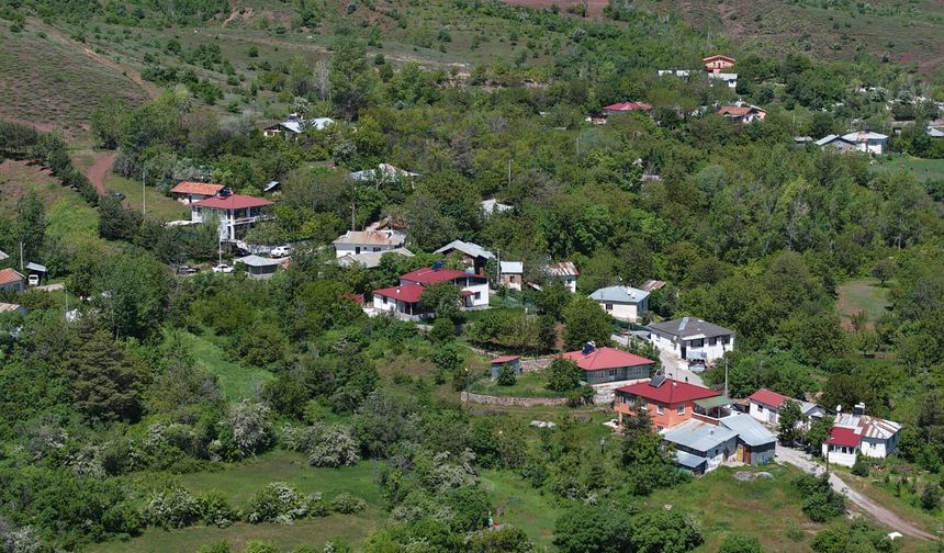 Erzincan'da Köyün Taleplerine Hızlı Talimat Verildi