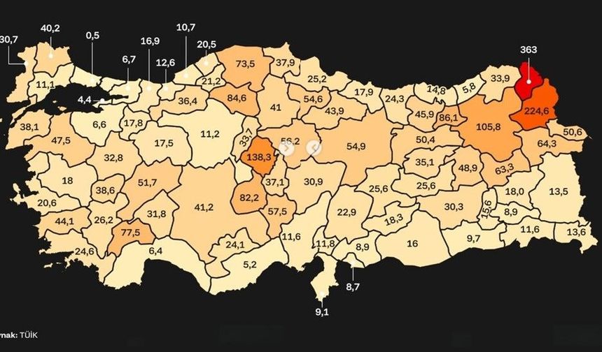 TÜİK Verileri Ortaya Koydu: Erzincan Hayvancılıkta Zirveye Oynuyor
