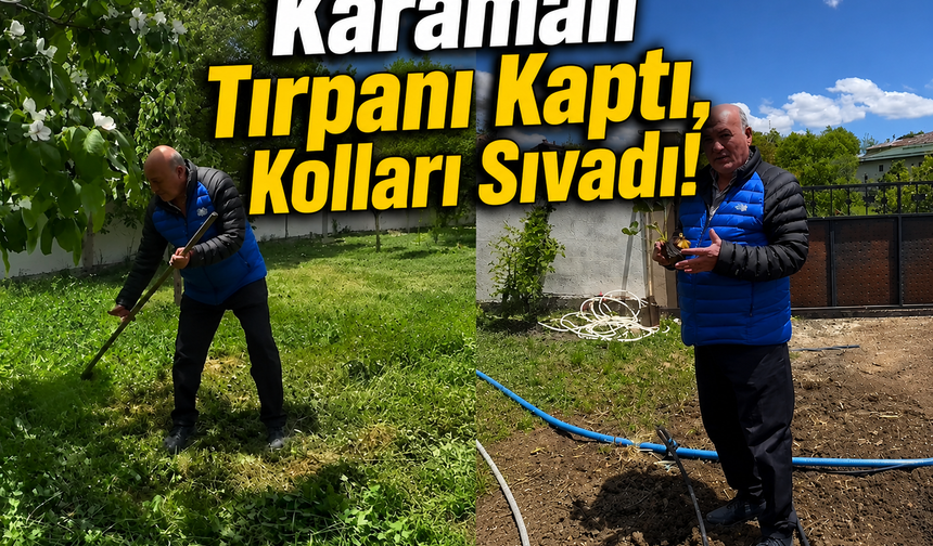 Milletvekili Karaman Tırpanı Kaptı, Kolları Sıvadı!