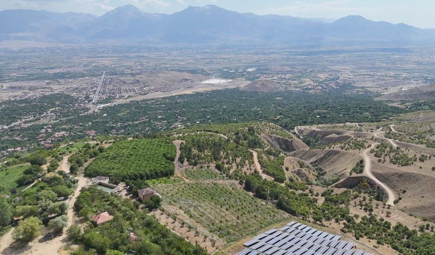 Erzincan'da 1650 Rakımda Hasat Başladı...