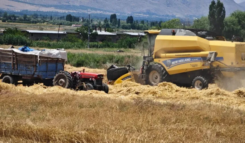 Erzincan'da Hasat Heyecanı Başladı! Tercan'dan Biçerdöver Ücretlerine Yön Veren Karar