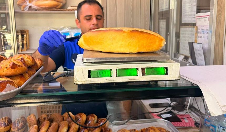 Erzincan'da 103 işletme mercek altında