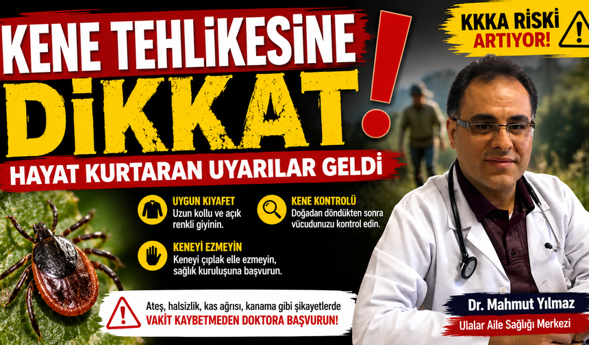 Kene Tehlikesine Dikkat! Hayat Kurtaran Uyarılar Geldi