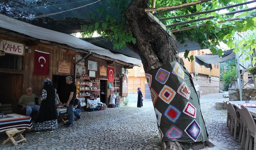 ‘Orda Bir Köy Var Uzakta’ Şiiri Erzincan’ın Hangi Köye Yazılmış. İşte O köy