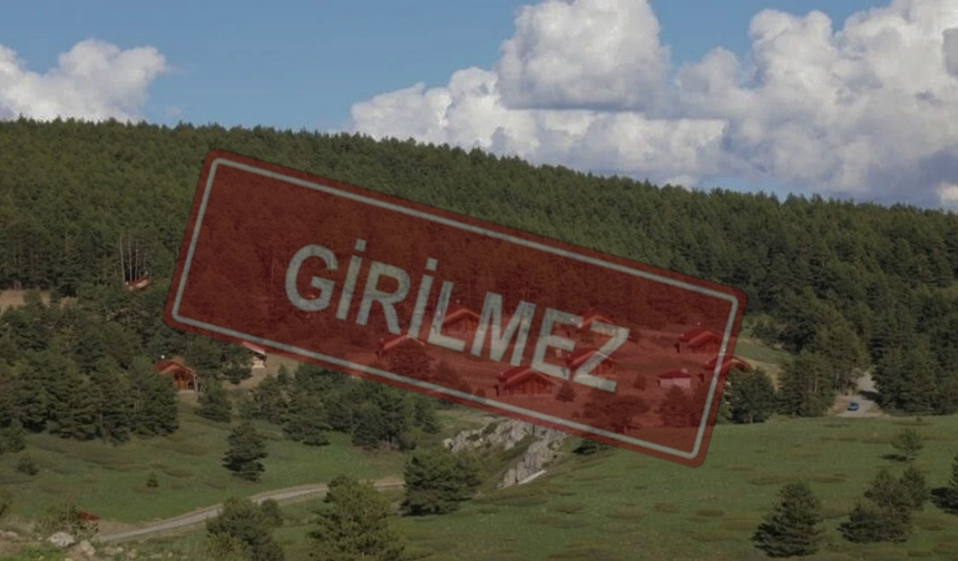 Erzincan’da Ormanlara Giriş Yasağı Başlıyor: İşte Alınan Tedbirler