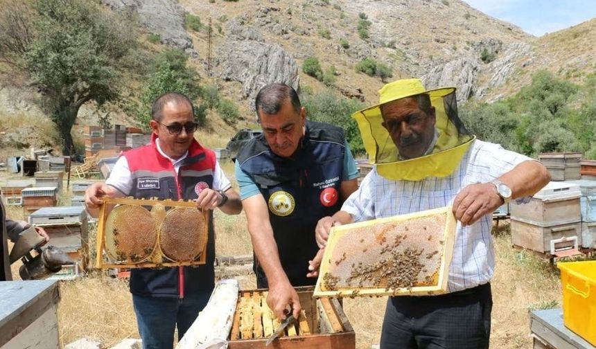 Erzincan’da 2026-2027 Sezonu Bal Fiyatları Belli Oldu