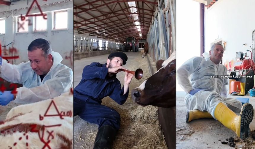 Erzincan'da Veteriner Hekimlerin Zorlu Mesaisi Anlatıldı