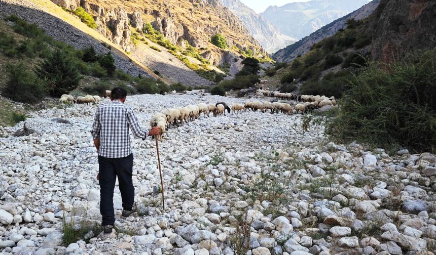 Erzincan’ın Dağlarında Zorlu Mesai