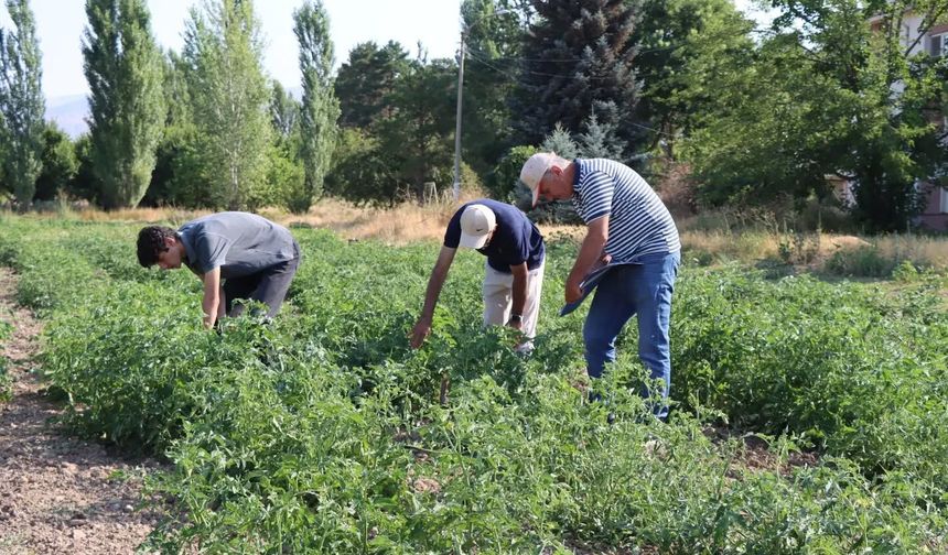 Geleceğin Tarım Uzmanları Erzincan Enstitüde Yetişiyor