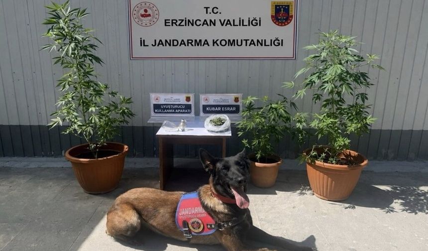 Erzincan’da Jandarma Sahada! 1 Ayda 445 Kişi Yakalandı...