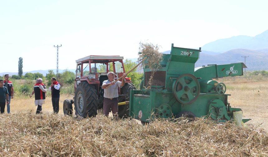 Erzincan'da Beyaz Altının Hasadı Başladı!