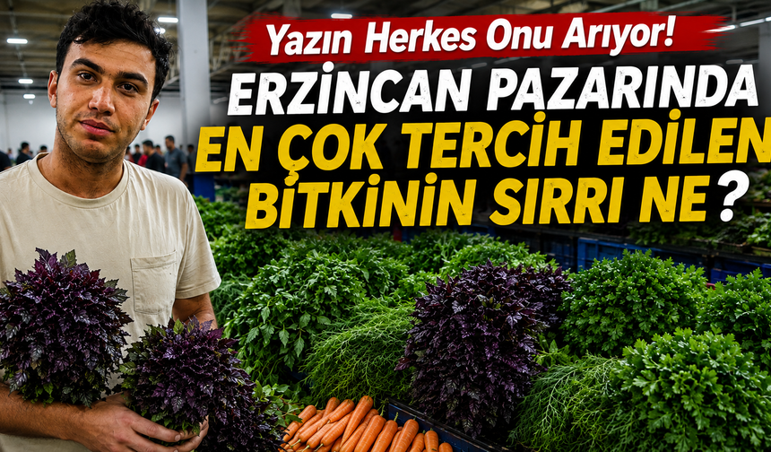 Yazın Herkes Onu Arıyor! Erzincan Pazarında En Çok Tercih Edilen Bitkinin Sırrı Ne?