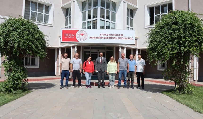 Erzincan’da Yerel İncirlerin Geleceği İçin Çalışma Başladı