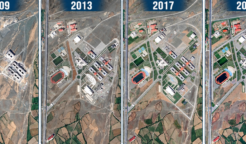 Erzincan’da 2006’da Dikilen Fidan Kocaman Bir Çınara Dönüştü