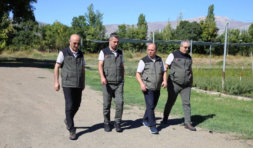 Bölge Müdürü Erzincan’da Fidanlık Sahasına İndi!