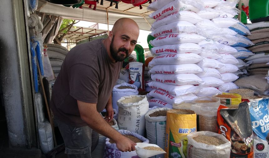 Erzincan’da buğday piyasasında kritik tablo: Kazanç aynı, gider katlandı