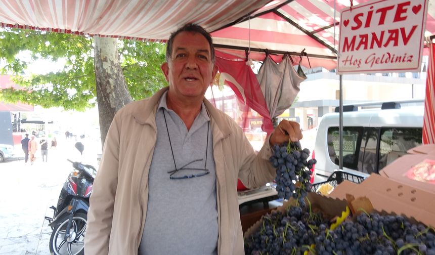 Erzincan'da Hasadı Başladı, Tezgâha Geldi! Cimin Üzümünün Fiyatı Belli Oldu