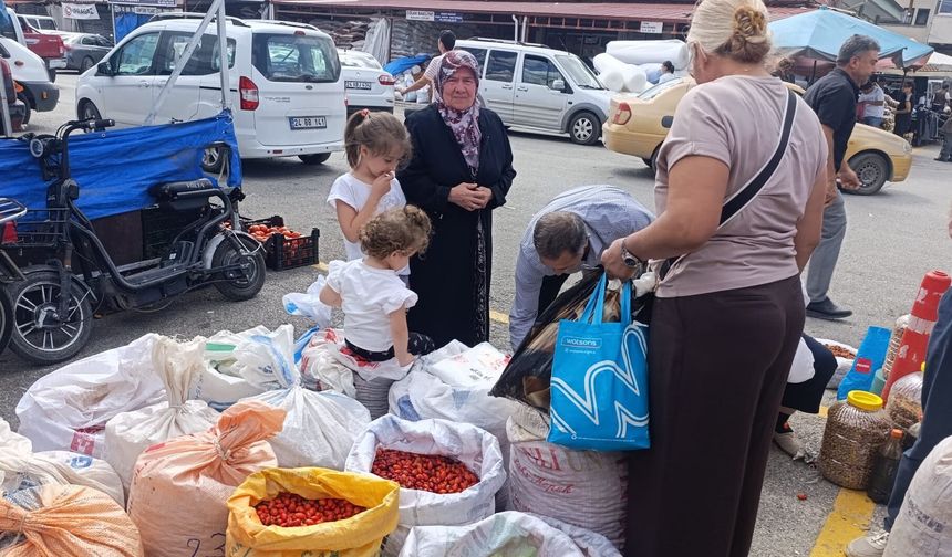 Erzincan’da Kuşburnu Hareketliliği Başladı! Kilosu Ne Kadar?