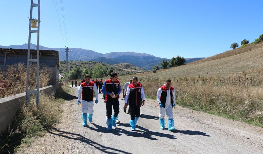 Hayvanlar Tek Tek İlaçlanıyor! Erzincan’da Seferberlik...