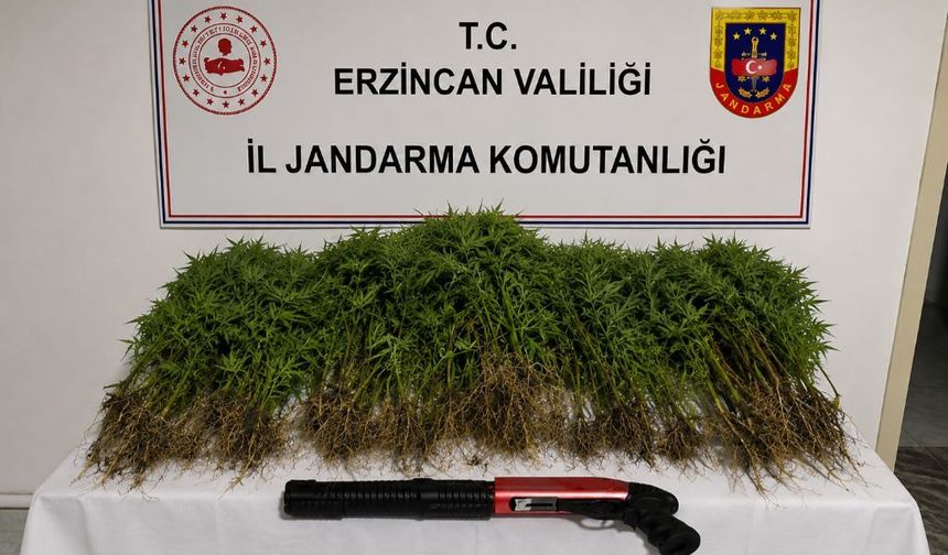 Erzincan’da JASAT ve Narkotik Ekipleri Harekete Geçti: Tutuklama Geldi