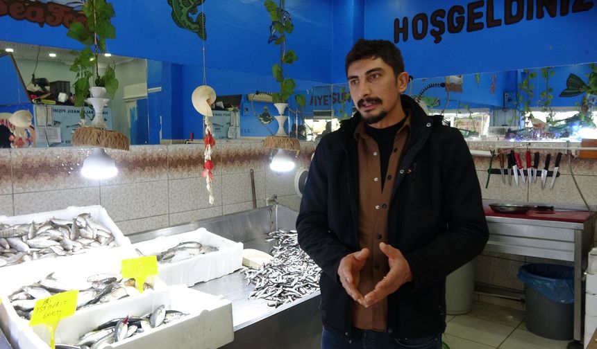 Erzincan’da Balık Tezgâhlarında Son Durum! Hamsi ve Palamut Kaç TL?