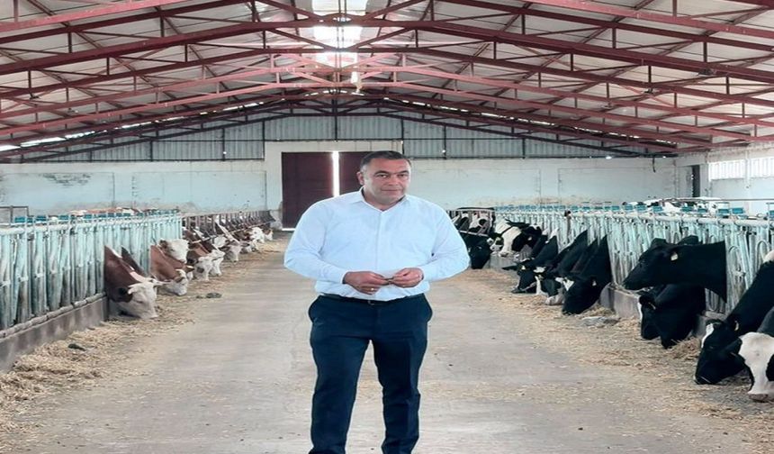 Erzincan’da Süt Üreticisi Fiyat Güncellemesi Bekliyor